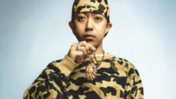 signl acetate nigo bathing ape uai